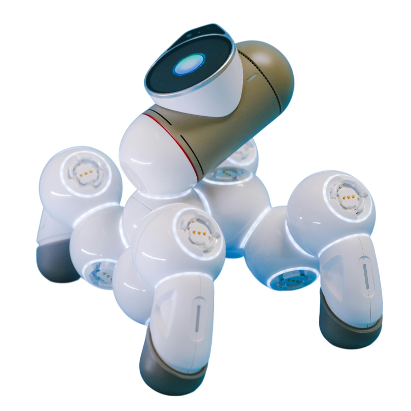 AI-Powered Software Solutions